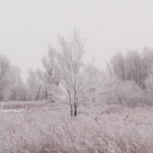 Dakota Prairie Winter