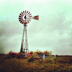 Windmill 2